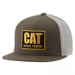 Green CatFootweat Diesel Power Flat Bill Cap Men's Clothing | FA8561320