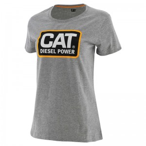 Grey CatFootweat Diesel Power Tee Women's Workwear | CB7531084