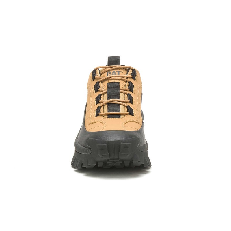 Black CatFootweat Intruder Waterproof Galosh Women's Shoes | QZ9840527