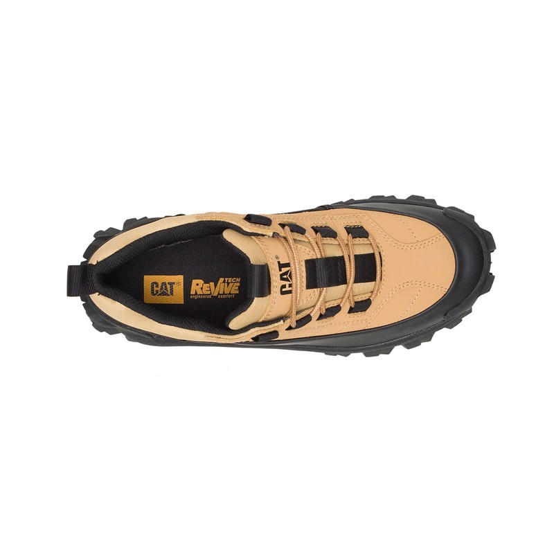 Black CatFootweat Intruder Waterproof Galosh Women's Shoes | QZ9840527