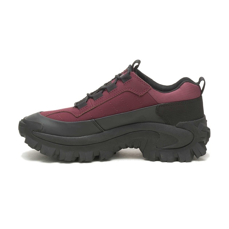 Black / Burgundy CatFootweat Intruder Waterproof Galosh Women's Shoes | SR9751430