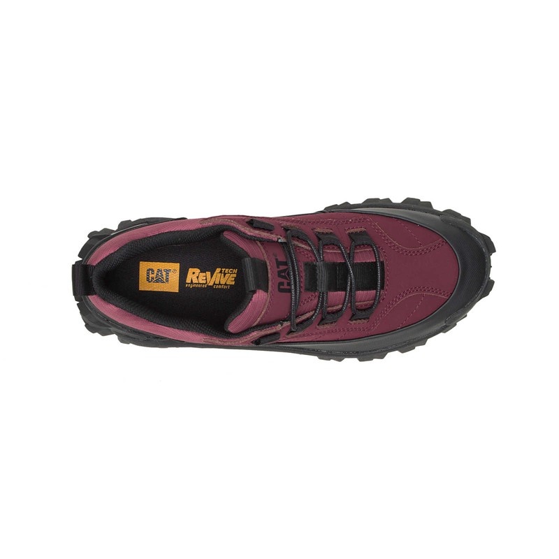 Black / Burgundy CatFootweat Intruder Waterproof Galosh Women's Shoes | SR9751430