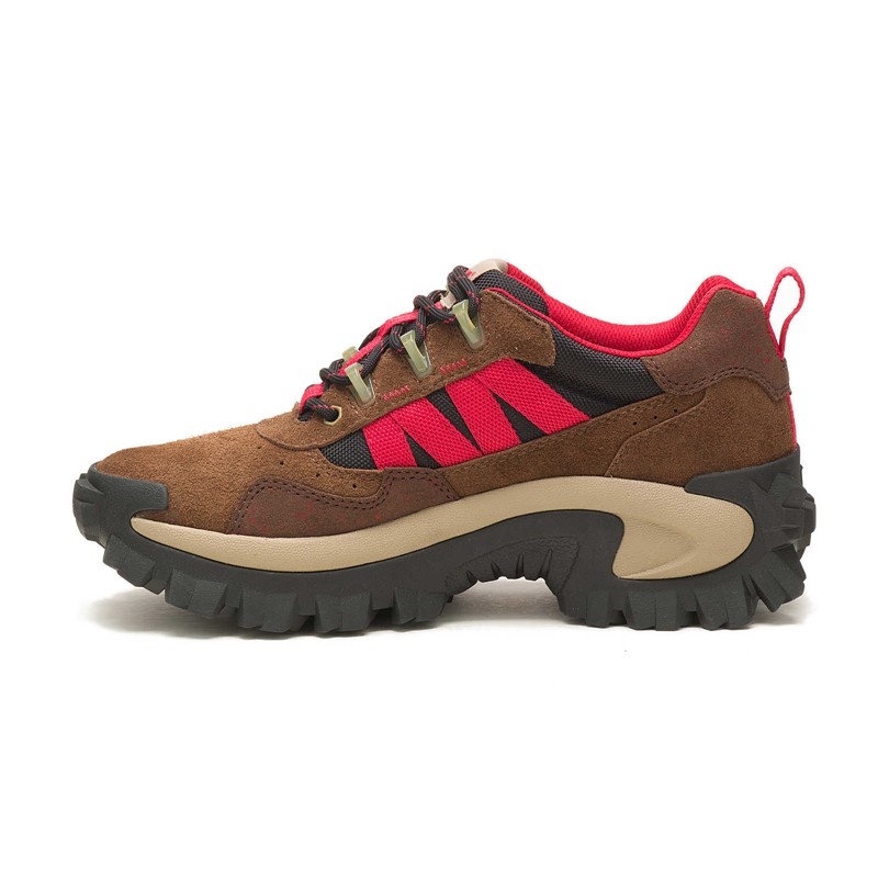 Brown CatFootweat Intruder Beta Women's Shoes | KZ0627359