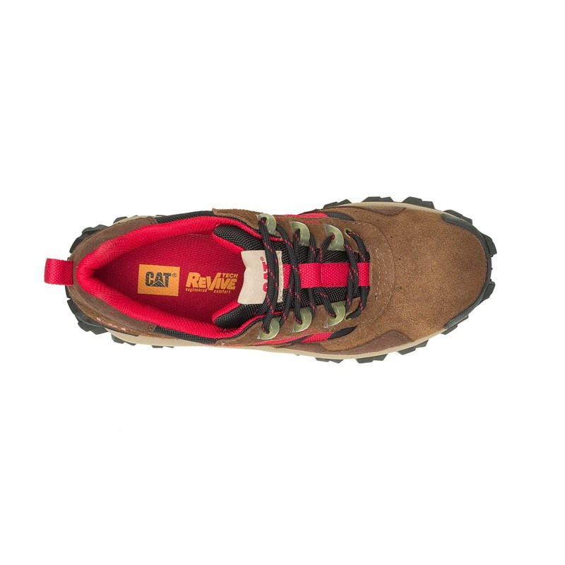 Brown CatFootweat Intruder Beta Women's Shoes | KZ0627359