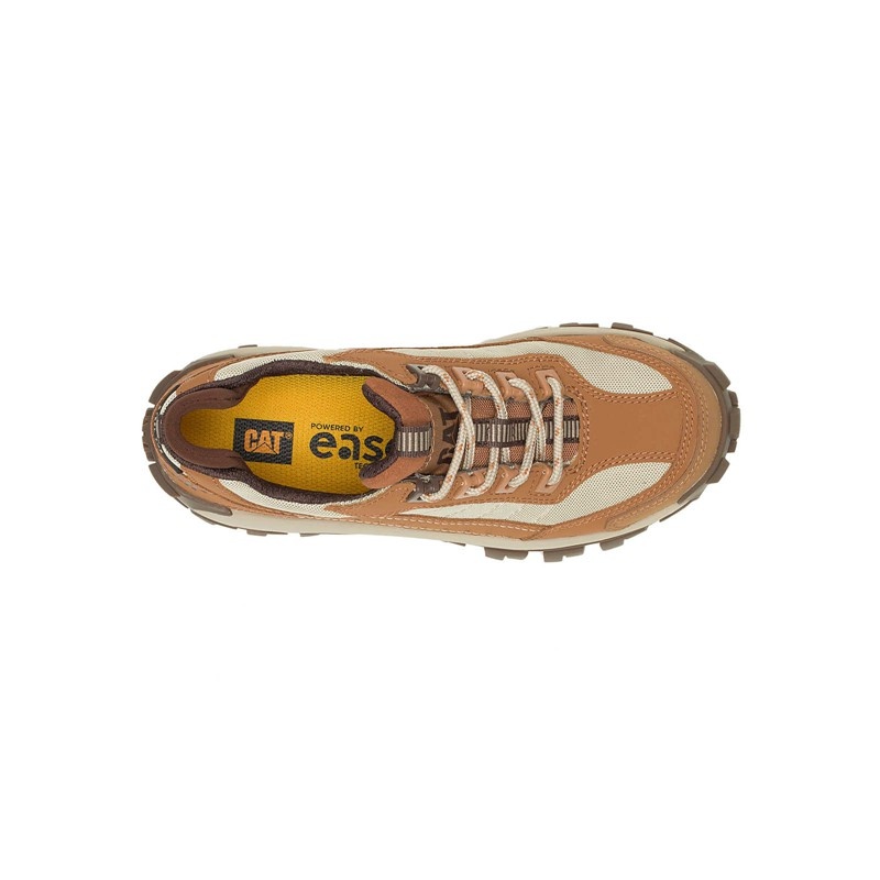 Brown / Brown CatFootweat Invader Steel Women's Shoes | AH0781342